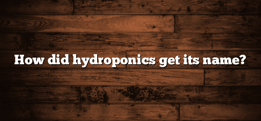 How did hydroponics get its name?