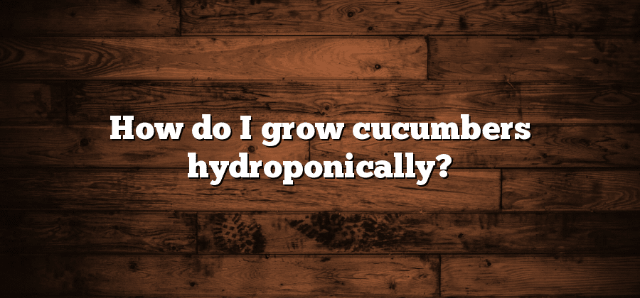 How do I grow cucumbers hydroponically?