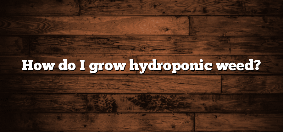 How do I grow hydroponic weed?
