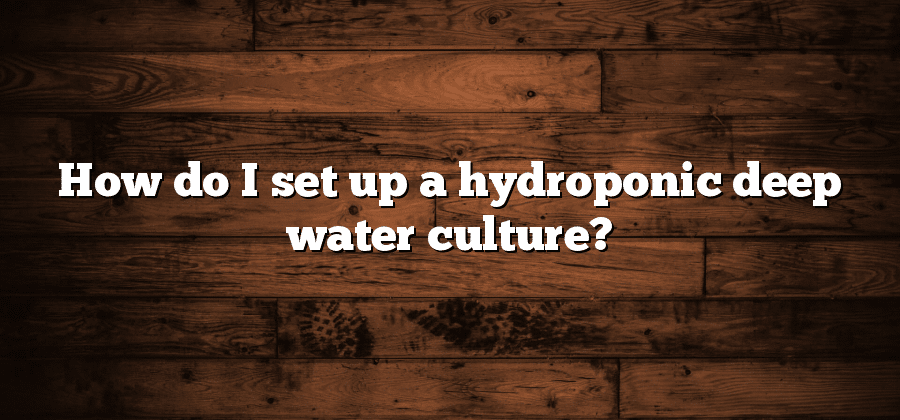 How do I set up a hydroponic deep water culture?