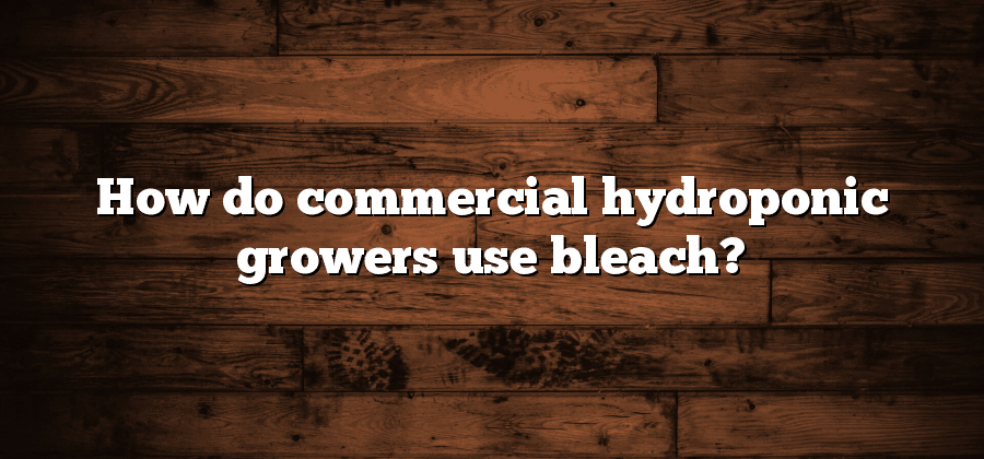 How do commercial hydroponic growers use bleach?