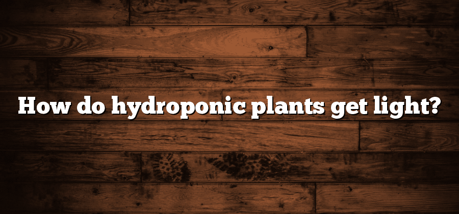 How do hydroponic plants get light?