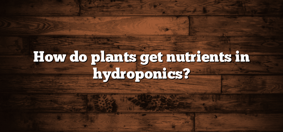 How do plants get nutrients in hydroponics?