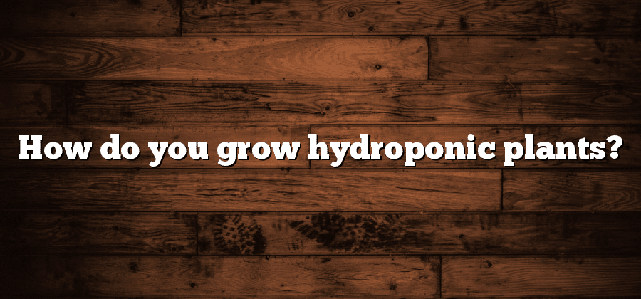 How do you grow hydroponic plants?