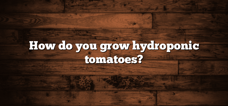 How do you grow hydroponic tomatoes?