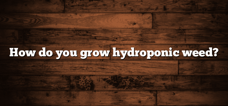 How do you grow hydroponic weed?
