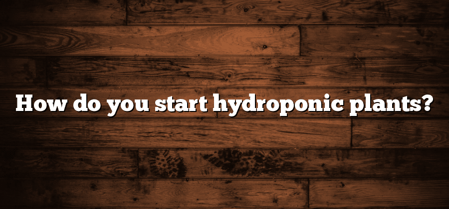 How do you start hydroponic plants?