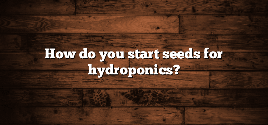 How do you start seeds for hydroponics?