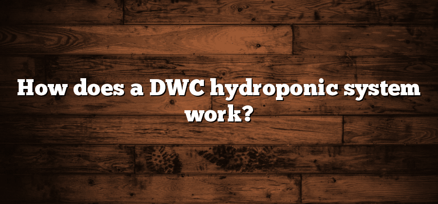 How does a DWC hydroponic system work?