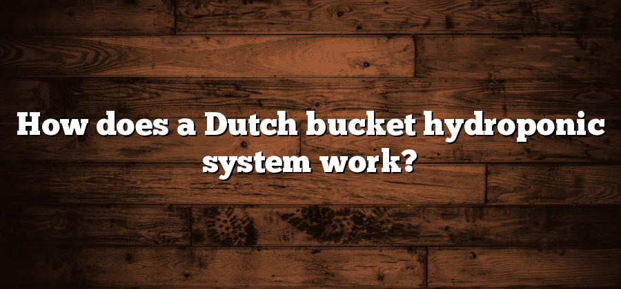 How does a Dutch bucket hydroponic system work?