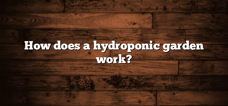 How does a hydroponic garden work?
