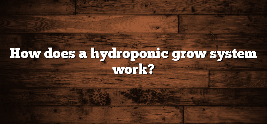 How does a hydroponic grow system work?