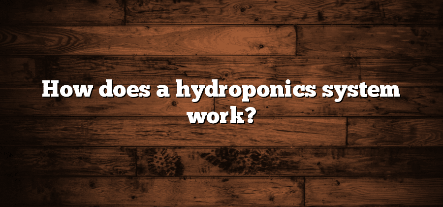 How does a hydroponics system work?