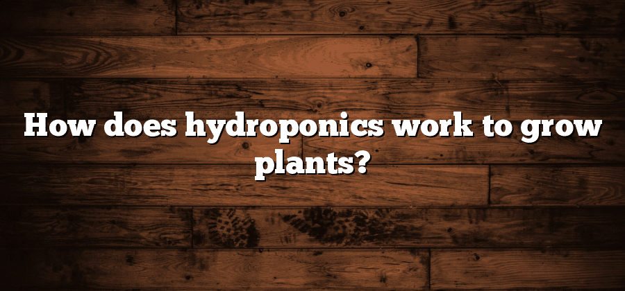 How does hydroponics work to grow plants?