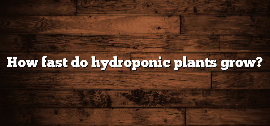How fast do hydroponic plants grow?