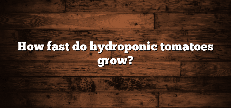 How fast do hydroponic tomatoes grow?