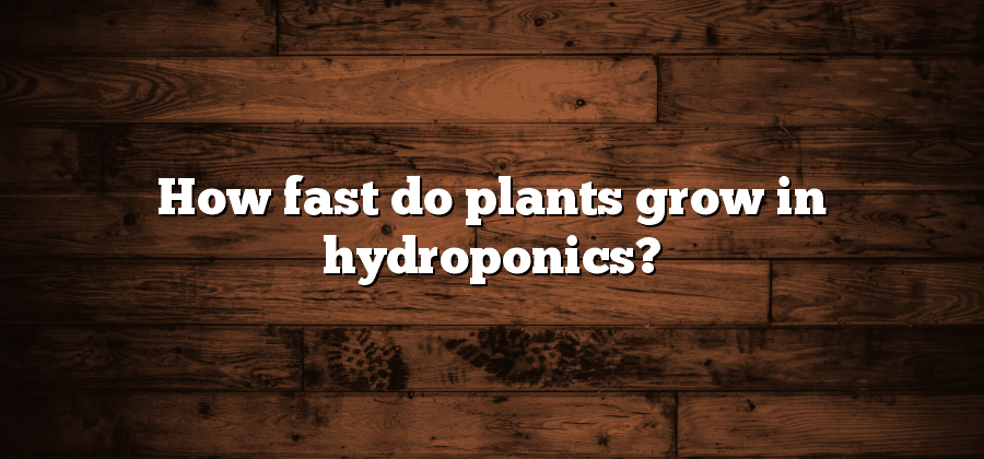How fast do plants grow in hydroponics?
