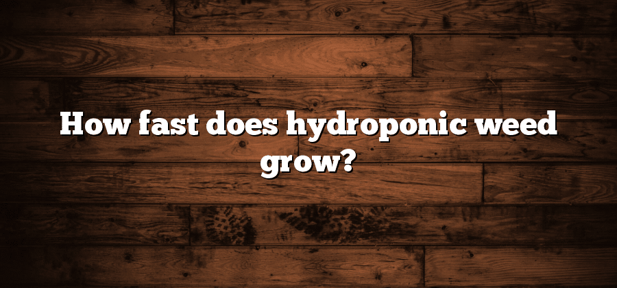 How fast does hydroponic weed grow?