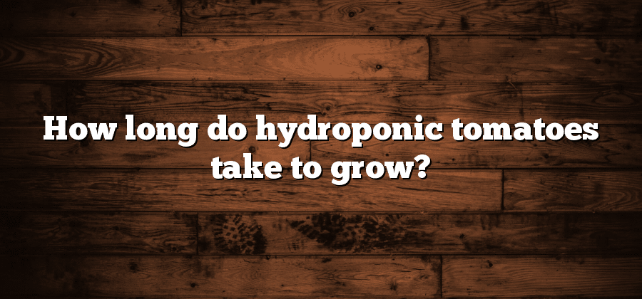 How long do hydroponic tomatoes take to grow?