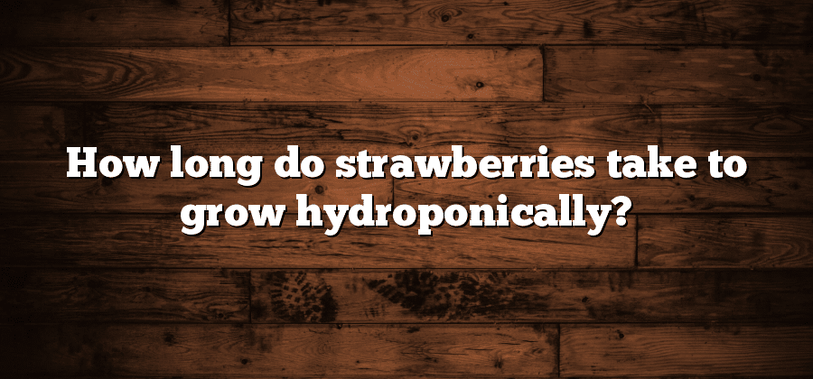 How long do strawberries take to grow hydroponically?