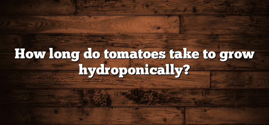How long do tomatoes take to grow hydroponically?