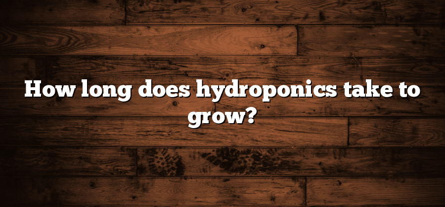 How long does hydroponics take to grow?