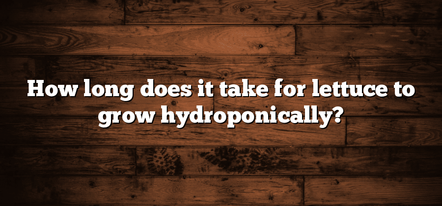 How long does it take for lettuce to grow hydroponically?