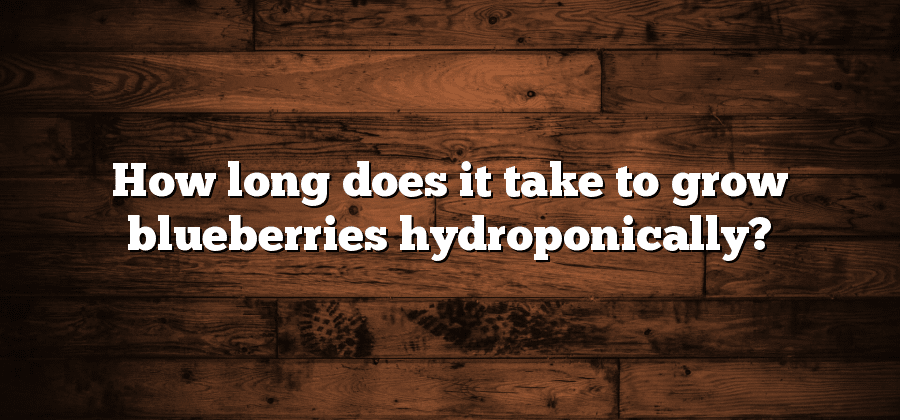 How long does it take to grow blueberries hydroponically?