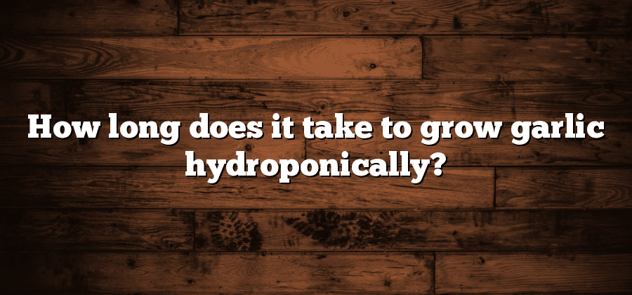 How long does it take to grow garlic hydroponically?