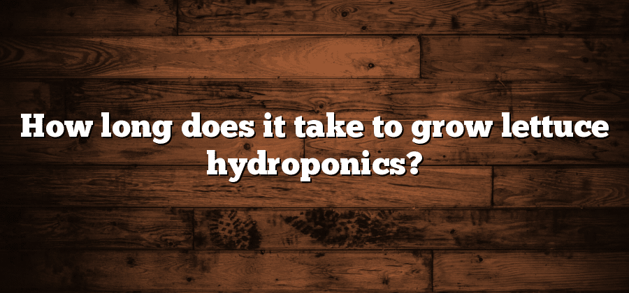 How long does it take to grow lettuce hydroponics?