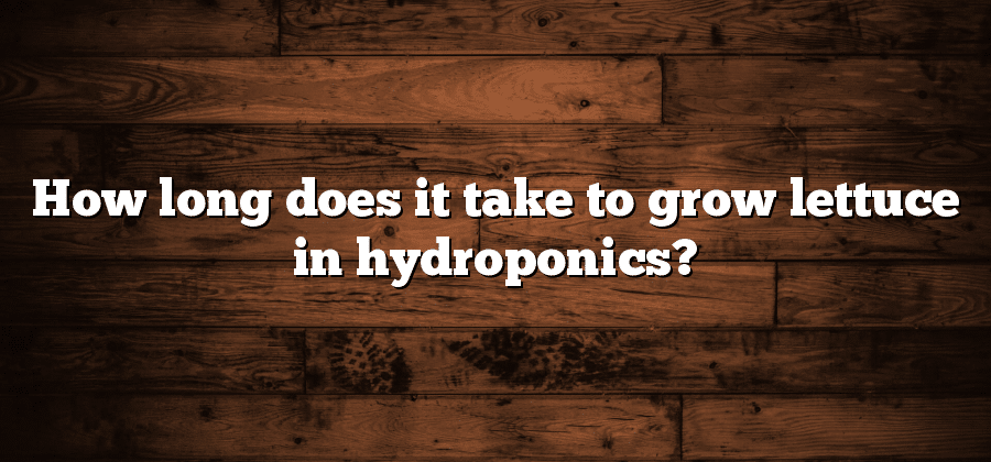 How long does it take to grow lettuce in hydroponics?
