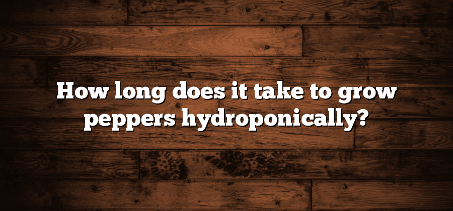 How long does it take to grow peppers hydroponically?
