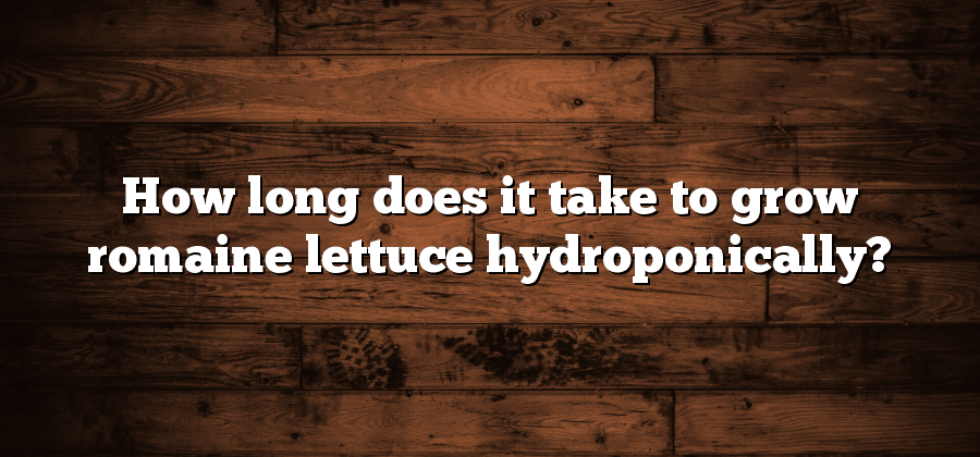How long does it take to grow romaine lettuce hydroponically?