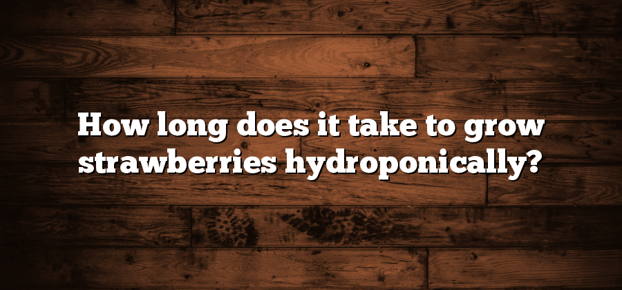 How long does it take to grow strawberries hydroponically?