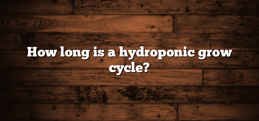 How long is a hydroponic grow cycle?