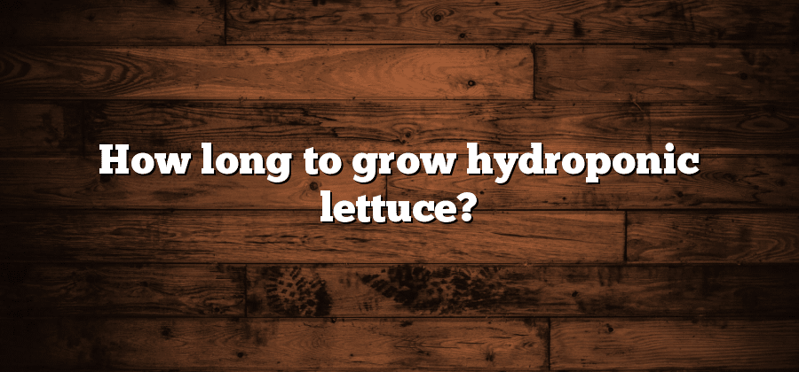 How long to grow hydroponic lettuce?