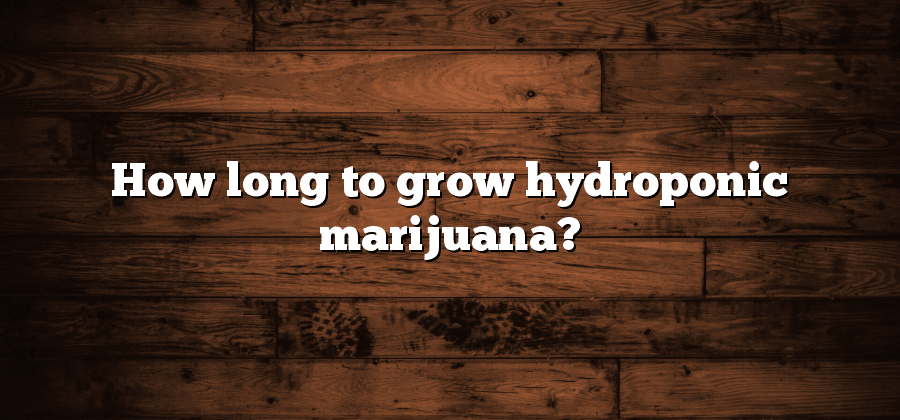How long to grow hydroponic marijuana?