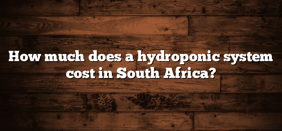 How much does a hydroponic system cost in South Africa?