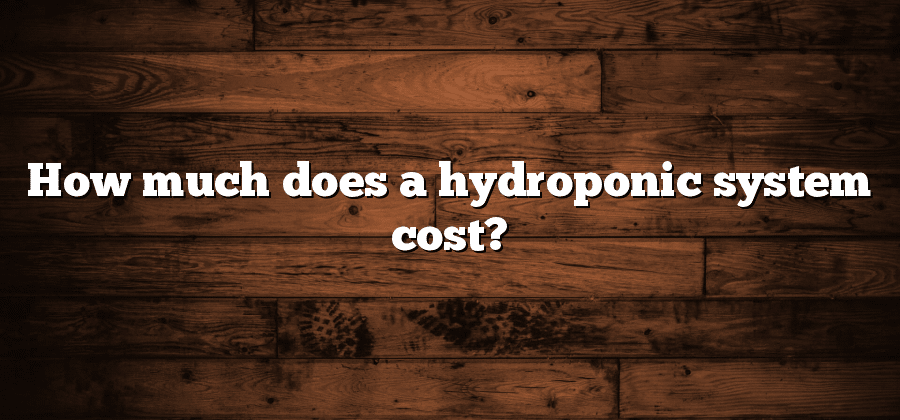 How much does a hydroponic system cost?