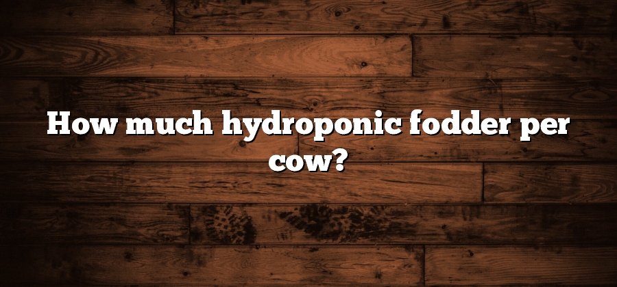 How much hydroponic fodder per cow?