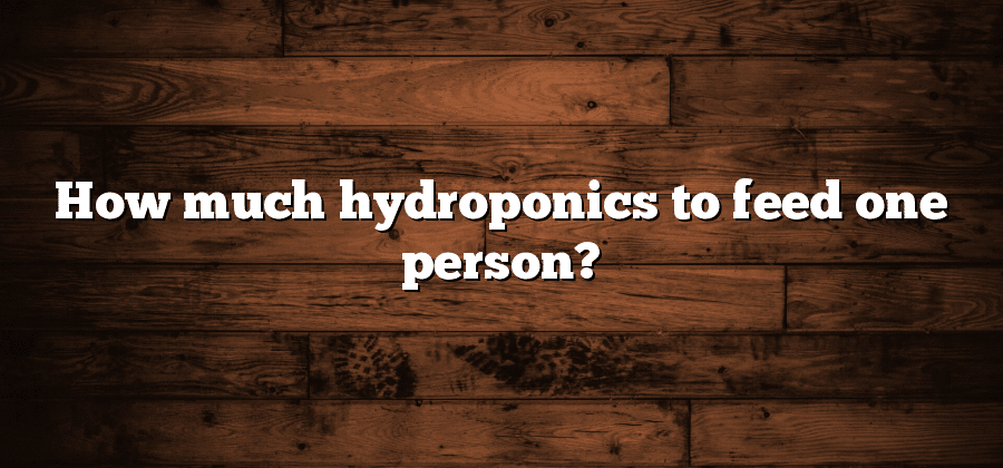 How much hydroponics to feed one person?