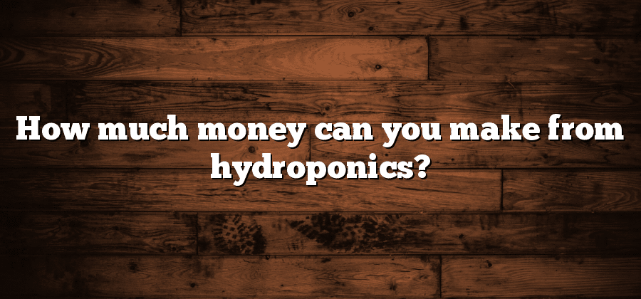 How much money can you make from hydroponics?