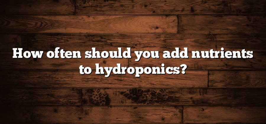 How often should you add nutrients to hydroponics?