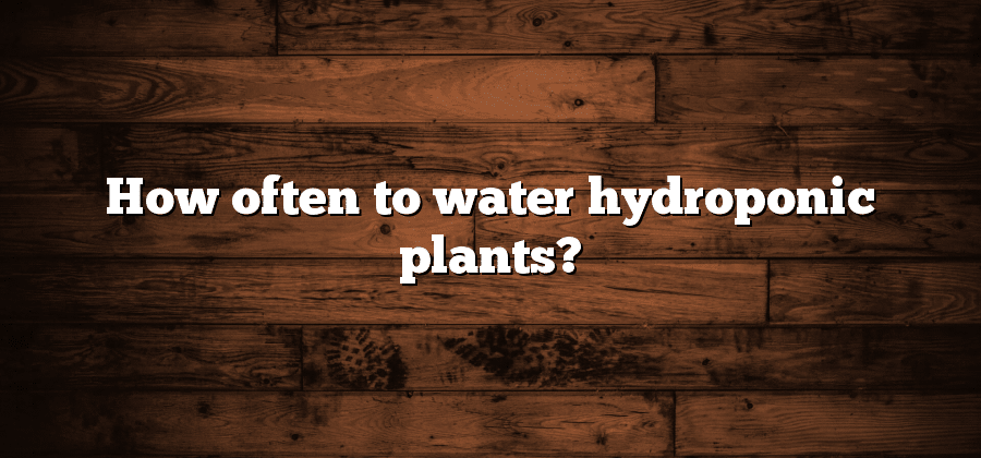 How often to water hydroponic plants?