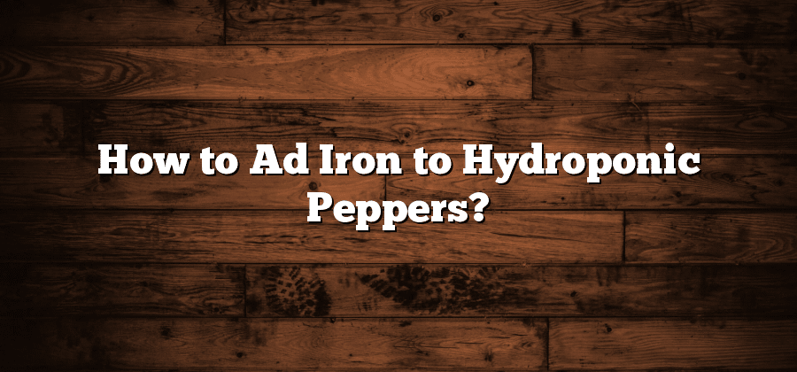 How to Ad Iron to Hydroponic Peppers?