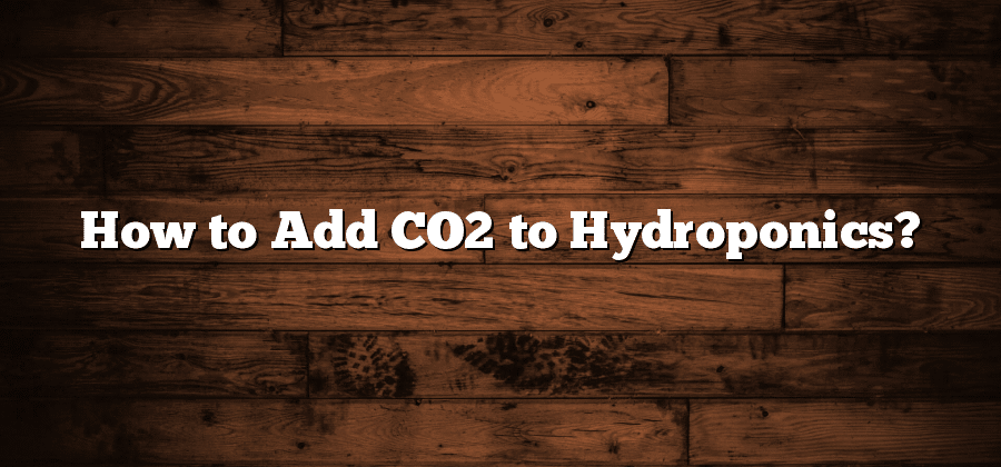 How to Add CO2 to Hydroponics?