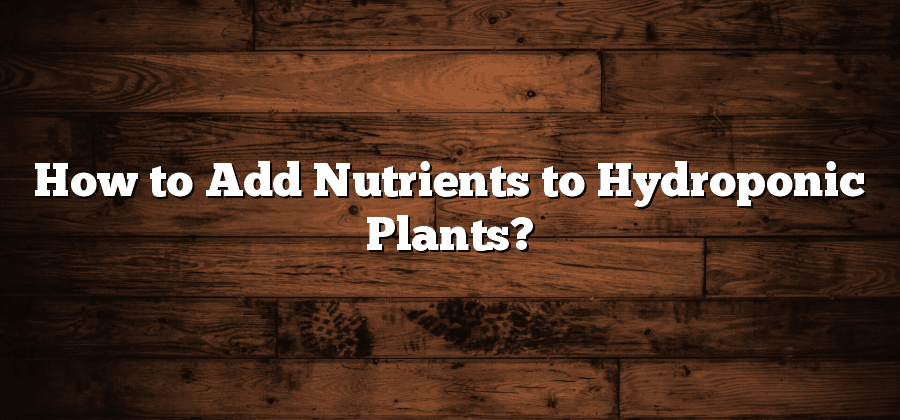 How to Add Nutrients to Hydroponic Plants?
