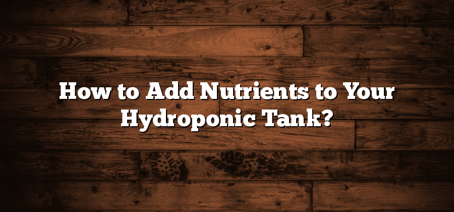 How to Add Nutrients to Your Hydroponic Tank?