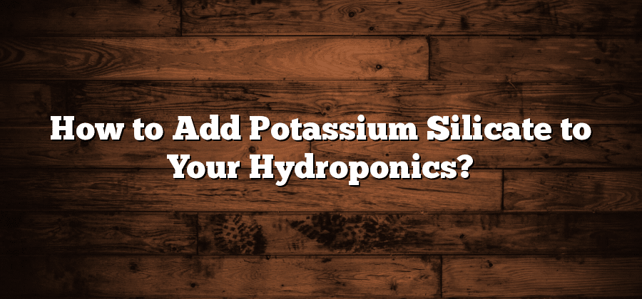 How to Add Potassium Silicate to Your Hydroponics?