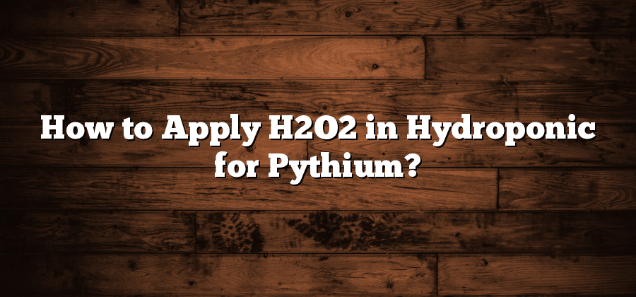 How to Apply H2O2 in Hydroponic for Pythium?
